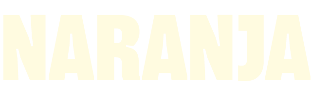 recurso 8